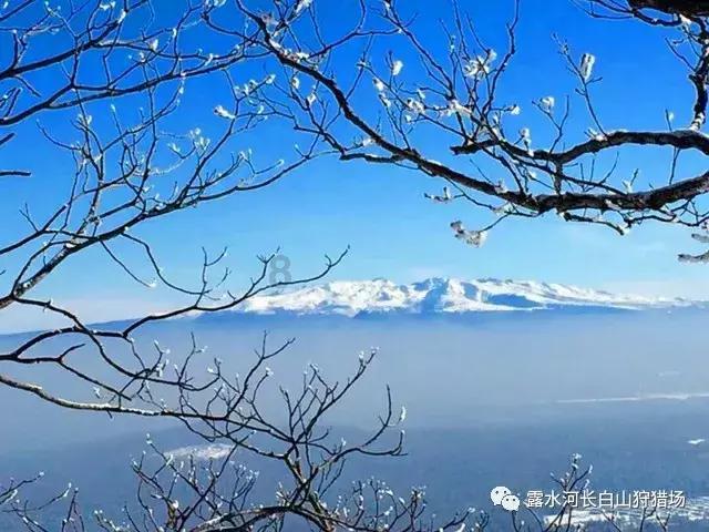 祝贺!郑钦文晋级澳网女单决赛